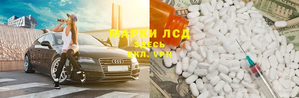 твердый Майский