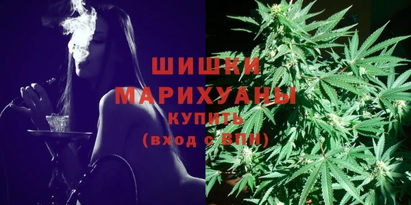 мдпв Магас