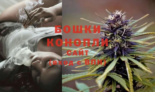 твердый Майский