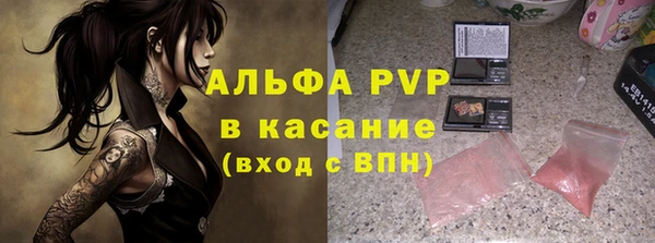 твердый Майский