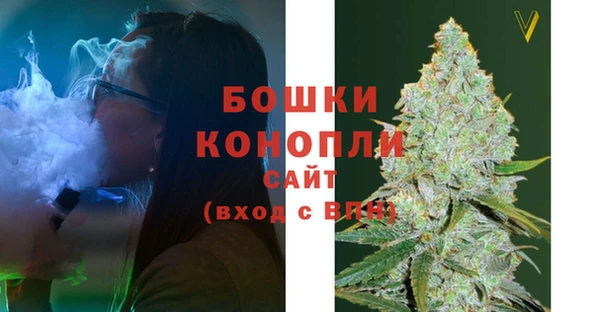 мдпв Магас