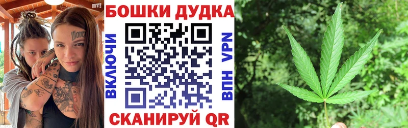 МЕГА tor  Цивильск  Конопля семена 
